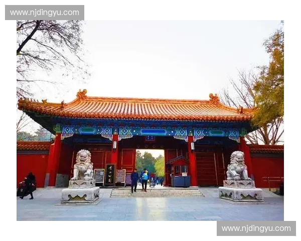 《探索LOL中烬在匹配模式中的强势表现与战术解析》